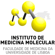 Instituto de Medicina Molecular Logo